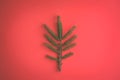 Minimalistic Christmas tree made of evergreen fir plant on red background. Christmas, new year concept. Flat lay Royalty Free Stock Photo