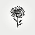 Minimalistic Chrysanthemum Flower Sketch Drawing - Chinese Iconography Style