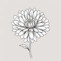 Minimalistic Chrysanthemum Sketch Drawing On Beige Background