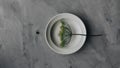 Minimalistic composition of the dry herb on the plate near the one pea at the gray background. Royalty Free Stock Photo