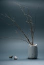 Minimalistic composition in Japanese Asian style with ikebana in an earthenware clay handmade vase and stones