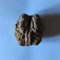 Macro shot of unpeeled walnut on a white background. Minimalism.