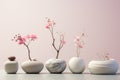 Minimalistic composition with pink blooming plants in clay handmade vases