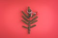 Minimalistic Christmas tree made of evergreen fir plant on red background. Christmas, new year concept. Flat lay Royalty Free Stock Photo