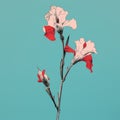 Minimalistic Composition Of Two Red Flowers On A Blue Background