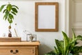 Minimalistic compositon with wooden vintage commode, brown mock up photo frame, avocado plant, plant and accessories.