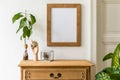 Minimalistic compositon with wooden vintage commode, brown mock up photo frame, avocado plant, plants and accessories.