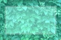 Minimalistic creative background made of grape leaves with double lined rectangle frame for text.