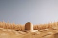 Minimalistic 3D podium stand on dry grass for product display, with a classical arch studio background. Perfect for showcasing