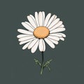 Minimalistic Daisy Vector Graphic Illustration On Dark Background