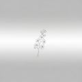 Minimalistic design featuring a delicate line drawing of a flowering branch, possibly resembling Royalty Free Stock Photo