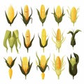 Minimalistic Flat Vector Corn Set Animation Assets Isolated Royalty Free Stock Photo