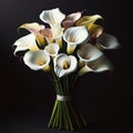 Minimalistic Floral Elegance: White Blooms in a Black Abyss