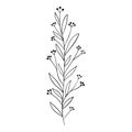 Minimalistic floral elements. Minimal boho floral frames and bouquets, organic decorative simple minimalistic floral