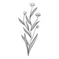 Minimalistic floral elements. Minimal boho floral frames and bouquets, organic decorative simple minimalistic floral