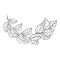 Minimalistic floral elements. Minimal boho floral frames and bouquets, organic decorative simple minimalistic floral