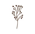 Minimalistic flower. graphic hand drawn plant, trendy tiny scandinavian style design, floral botanic elements vector Royalty Free Stock Photo