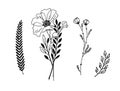 Minimalistic flower graphic sketch drawing, trendy tiny tattoo design, floral botanic element Royalty Free Stock Photo