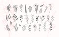 Minimalistic flower graphic sketch drawing, trendy tiny tattoo design, floral botanic element Royalty Free Stock Photo