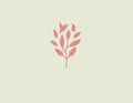 Minimalistic gentle logo icon branch of a plant with leaves and a silhouette of a bird for a beauty salon