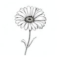 Minimalistic Gerbera Sketch Drawing: Chic Illustration With Single Seed Royalty Free Stock Photo