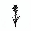 Minimalistic Gladiolus Silhouette Vector On White Background