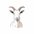 Minimalistic Goat Head Illustration In White - 32k Uhd Vector Art Royalty Free Stock Photo