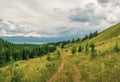 Minimalistic green mountains landscape with old dirt road overgrown with grasses and flowers. Beautiful green mountain scenery Royalty Free Stock Photo