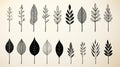 Minimalistic Hand Drawn Leaves: Vector Art Illustration