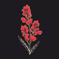 Minimalistic Hand-drawn Red Flower Illustration On Black Background