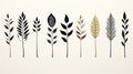 Minimalistic Hand Drawn Wheat Illustrations In Black And Brown
