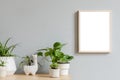 Minimalistic home interior with mock up photo frame on the brown table with composition of cacti and succulents in stylish pots. Royalty Free Stock Photo