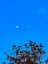 Minimalistic image of Aeroplane flying in the blue sky.