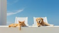 Minimalistic Image of a Cat and Dog Sunbathing AI Generated Royalty Free Stock Photo