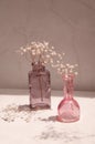 Modern still life with a glass vases and decorative gypsophila flowers.