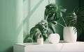 Minimalistic interior design of living room with green walls, white round table, white vase and monstera plant Royalty Free Stock Photo