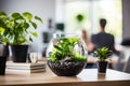 Minimalistic interior design with planted fish bowl vivarium in bright living room