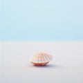 Minimalistic Japanese Shell With Blue Sky On White Surface