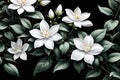 Minimalistic Jasmine Flowers Black Dark Background Wallpaper Backdrop Royalty Free Stock Photo