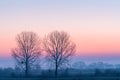 Minimalistic landscape with two trees, fog and sky at sunrise Royalty Free Stock Photo