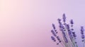 Minimalistic Lavender Flowers On Light Pink Background