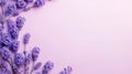 Minimalistic Lavender Flowers On Pink Background - Uhd Image