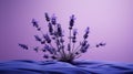 Minimalistic Lavender: Photorealistic Fantasy With Rococo Still-life