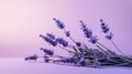 Minimalistic Lavender: Vibrant And Subtle Imagery In Zbrush And Cinema4d