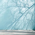 Minimalistic light blue studio background with tree branch shadows Royalty Free Stock Photo