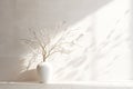 Minimalistic Light White Interior with Plant in Ceramic Vase