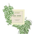 Minimalistic natural label design with sketch grapes, vector brand identity for package, badge, card. Engraved vintage Royalty Free Stock Photo