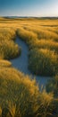 Minimalistic nature scene captured from a distance, located in an open flatland with sparse trees