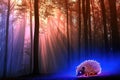 Minimalistic neon hedgehog in enchanted forest at sunset Royalty Free Stock Photo