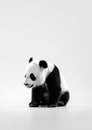 Minimalistic Panda Bear Photography on White Studio Background. Generative AI